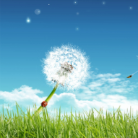 Đề thi IELTS Writing Task 2 ngày 08/10/2016