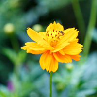 365 câu trắc nghiệm Tiếng Anh lớp 6