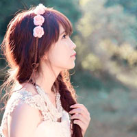 Giải bài tập trang 67 SGK Sinh lớp 6: Cấu tạo trong của phiến lá