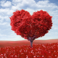 3 lời khuyên tiếng Anh có ích trong cuộc sống