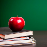 Bài tập Tiếng Anh lớp 11 Unit 5: Illiteracy Số 2 có đáp án