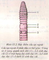 Bài tập môn Sinh học lớp 7
