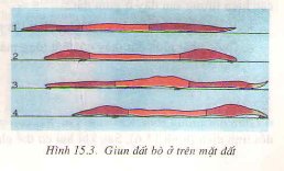 Bài tập môn Sinh học lớp 7
