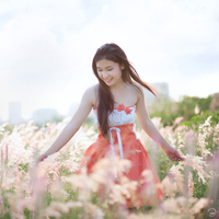 Đề thi học kì 1 môn Sinh học lớp 10 trường THPT Lê Hồng Phong, Đăk Lăk năm học 2015 - 2016