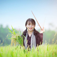 Đề thi giữa học kì 1 môn Hóa học lớp 12 trường THPT Thống Nhất A, Đồng Nai năm học 2016 - 2017