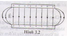 Giải bài tập trang 20, 21 SGK Vật lý lớp 11