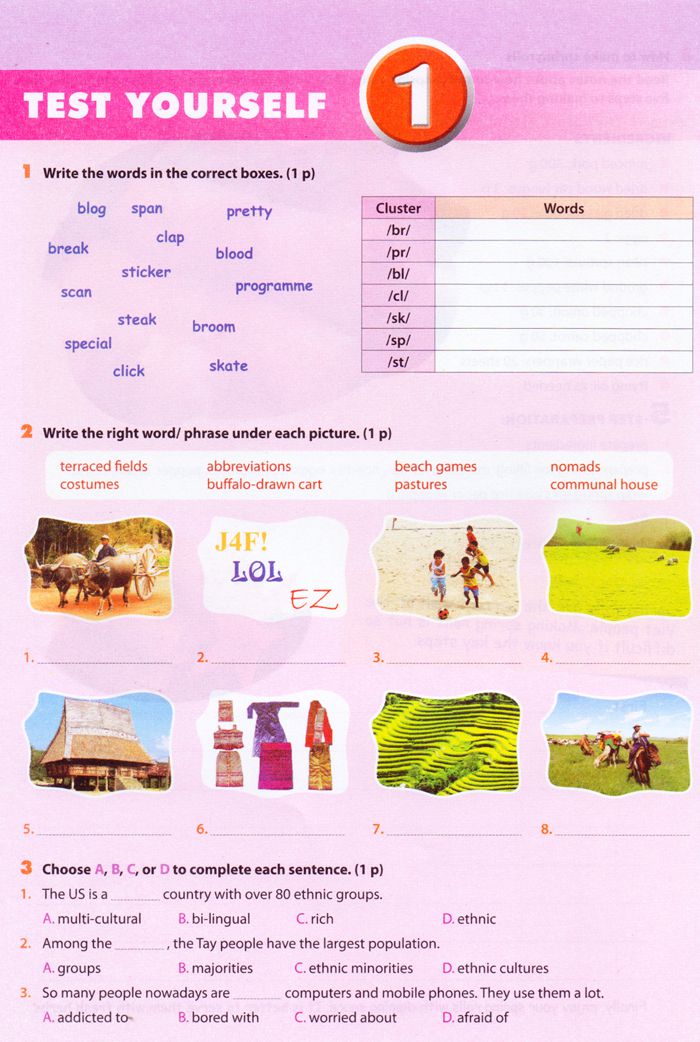 Bộ đề trắc nghiệm Tiếng Anh lớp 8