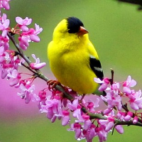 Bộ đề ôn thi học kỳ 1 môn Tiếng Anh lớp 6 Trường THCS Phước Nguyên, Bà Rịa Vũng Tàu có đáp án