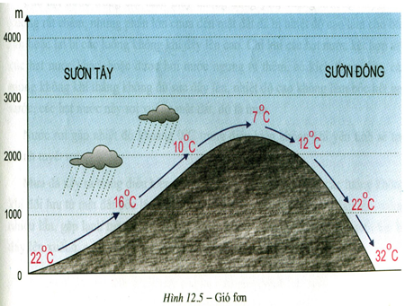 Đề thi học kì 1 môn Địa lý lớp 10