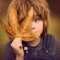 Đề thi học kì 1 lớp 2 môn Toán, Tiếng Việt trường tiểu học Toàn Thắng năm 2014 - 2015