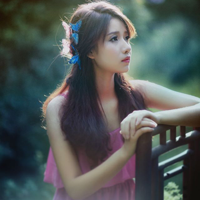 Đề thi học kì 1 môn Toán lớp 11 trường THPT Tháp Chàm, Ninh Thuận năm học 2015 - 2016