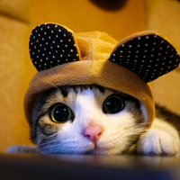 Đề thi học kì 1 lớp 3 môn Toán, Tiếng Việt trường tiểu học Toàn Thắng năm 2014 - 2015