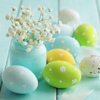 Đề thi giữa học kì 1 môn Tiếng Anh lớp 11 trường THPT Lý Thái Tổ, Bắc Ninh năm học 2016 - 2017 có đáp án