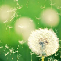 Đề thi học kì 1 môn Toán, Tiếng Việt lớp 5 trường tiểu học Tam Hưng, Hà Nội năm 2015 - 2016