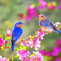 Từ vựng Tiếng Anh lớp 6 Units 1 - 8