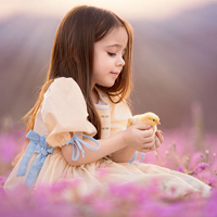 Đề thi giữa học kì 1 lớp 4 môn Toán, Tiếng Việt trường tiểu học Kim An, Hà Nội năm 2016 - 2017