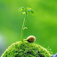 Giải bài tập trang 53 SGK Toán 2: 32 - 8