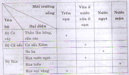Bài tập môn Sinh học lớp 7 Bài tập môn Sinh học lớp 7