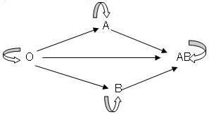 Đề thi HSG môn Sinh học lớp 9