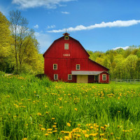 Tiếng Anh lớp 8 Chương trình mới Unit 2: Life in the Countryside
