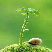 Giải bài tập trang 65 SGK Toán 2: 15, 16, 17, 18 trừ đi một số