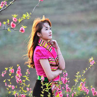 Đề thi học kì 1 môn Tiếng Anh lớp 12 tỉnh Bình Dương năm học 2015 - 2016