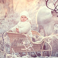 Giải bài tập trang 88 SGK Toán 2: Ôn tập về giải Toán