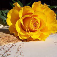 Bài tập Tiếng Anh lớp 11 Units 4 - 6 có đáp án