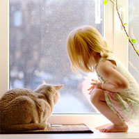 Đề thi Violympic môn Toán lớp 1 vòng 7 năm 2016 - 2017