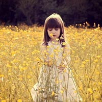 Đề thi học kì 1 môn Toán, Tiếng Việt lớp 2 trường tiểu học Sơn Đông, Đăk Lăk năm 2015 - 2016