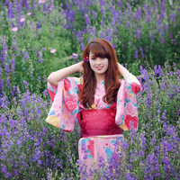 Đề thi học sinh giỏi môn Sinh học lớp 11 tỉnh Quảng Bình năm học 2015 - 2016 (Vòng 2)