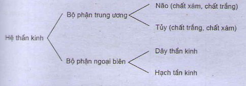 Bài tập môn Sinh học lớp 8