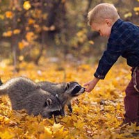 Đề thi học kì 1 môn Tin học lớp 3 trường tiểu học Sơn Tân, Hà Tĩnh năm 2015 - 2016