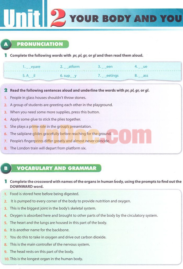 Tiếng Anh lớp 10 Chương trình mới Unit 2 Tiếng Anh lớp 10 Chương trình mới Unit 2: YOUR BODY & YOU