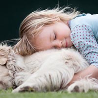 Giải bài tập trang 81 SGK Toán 1: Phép cộng trong phạm vi 10