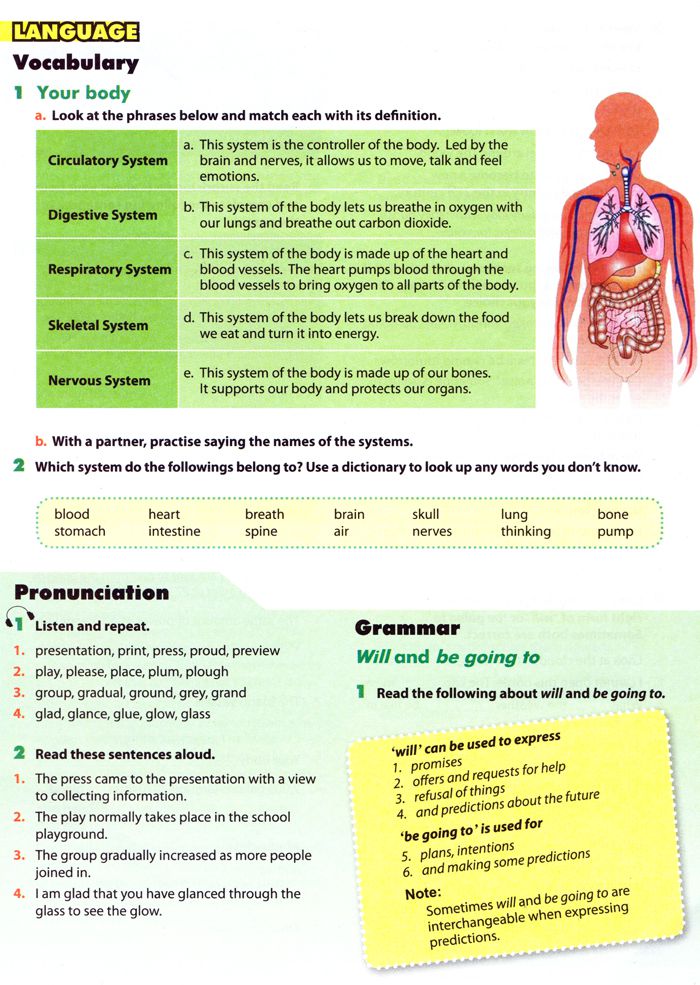 Bài tập Tiếng Anh lớp 10 Chương trình mới