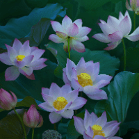 Bài tập tự luận Tiếng Anh lớp 8 Unit 7: Neighborhood