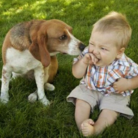 Giải bài tập trang 91, 92 SGK Toán 1: Luyện tập chung chương 2 tiếp theo