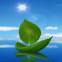 Bài tập tự luận Tiếng Anh lớp 9 Unit 6