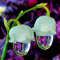 Đề kiểm tra 1 tiết HK1 Tiếng Anh lớp 12 Lần 2 có đáp án (Đề 1)