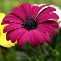 Giải bài tập SGK Tiếng Anh lớp 12: Test Yourself B (Trang 72 - 73 SGK)