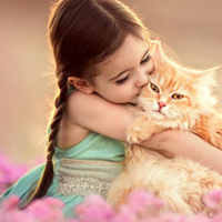 Giải bài tập trang 115, 116 SGK Toán 1: Bài toán có lời văn