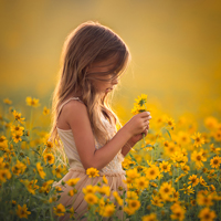 Đề thi học kì 1 môn Tiếng Việt lớp 3 trường tiểu học Phương Trung 1, Thanh Oai năm 2015 - 2016