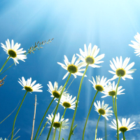 Giải bài tập SGK Tiếng Anh lớp 12 Unit 8: Life in the future