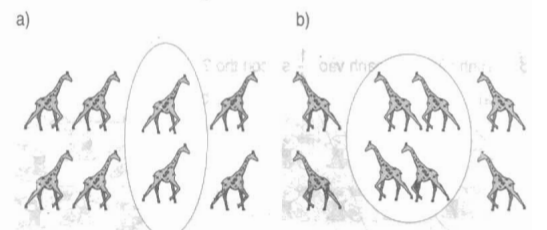 Luyện tập bảng chia 4 Giải bài tập trang 120 SGK Toán 2