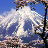 Câu hỏi trắc nghiệm và bài tập Địa lý 11 - Bài 9: Nhật Bản (Tiết 1)