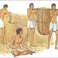 25 câu trắc nghiệm Lịch sử lớp 10 (Có đáp án)