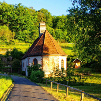 Bài tập trắc nghiệm Tiếng Anh lớp 8 Unit 8 có đáp án