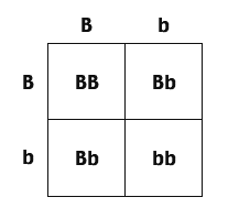 Đề thi Olympic Tiếng Anh lớp 6 vòng 3