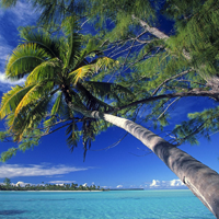 Đề thi học kì 1 môn Công nghệ lớp 6 Phòng GD&ĐT Bình Thạnh, TP.HCM năm học 2015 - 2016